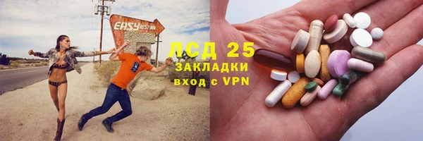 гашик Новодвинск