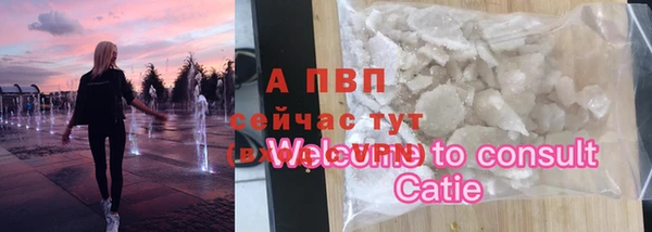 гашик Новодвинск