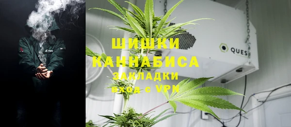 гашик Новодвинск