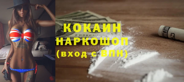 соль ск Новокубанск