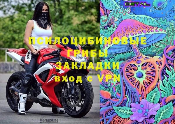 соль ск Новокубанск