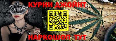 индика Новодвинск