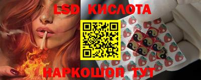 Альфа ПВП Новозыбков
