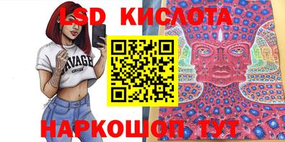 индика Новодвинск