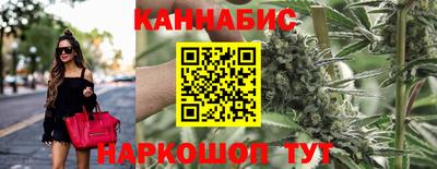 индика Новодвинск