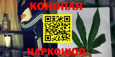 индика Новодвинск