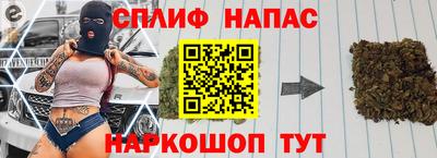 шишки Новокубанск