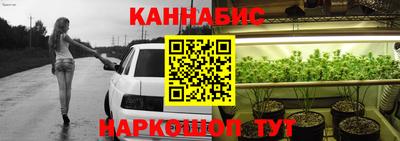 шишки Новокубанск