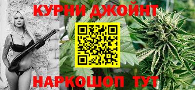 шишки Новокубанск