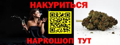индика Новодвинск