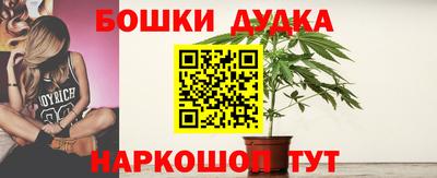 шишки Новокубанск