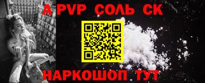 индика Новодвинск