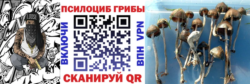 цены наркотик  Солнечногорск  Галлюциногенные грибы MAGIC MUSHROOMS 