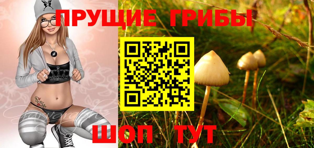 Псилоцибиновые грибы Cubensis Солнечногорск