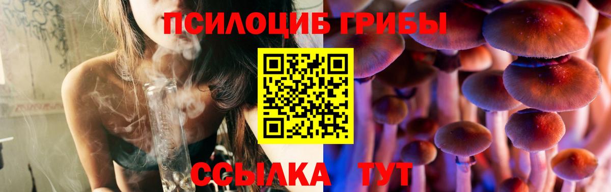 Псилоцибиновые грибы мухоморы  где можно купить   Галлюциногенные грибы Cubensis  Солнечногорск 